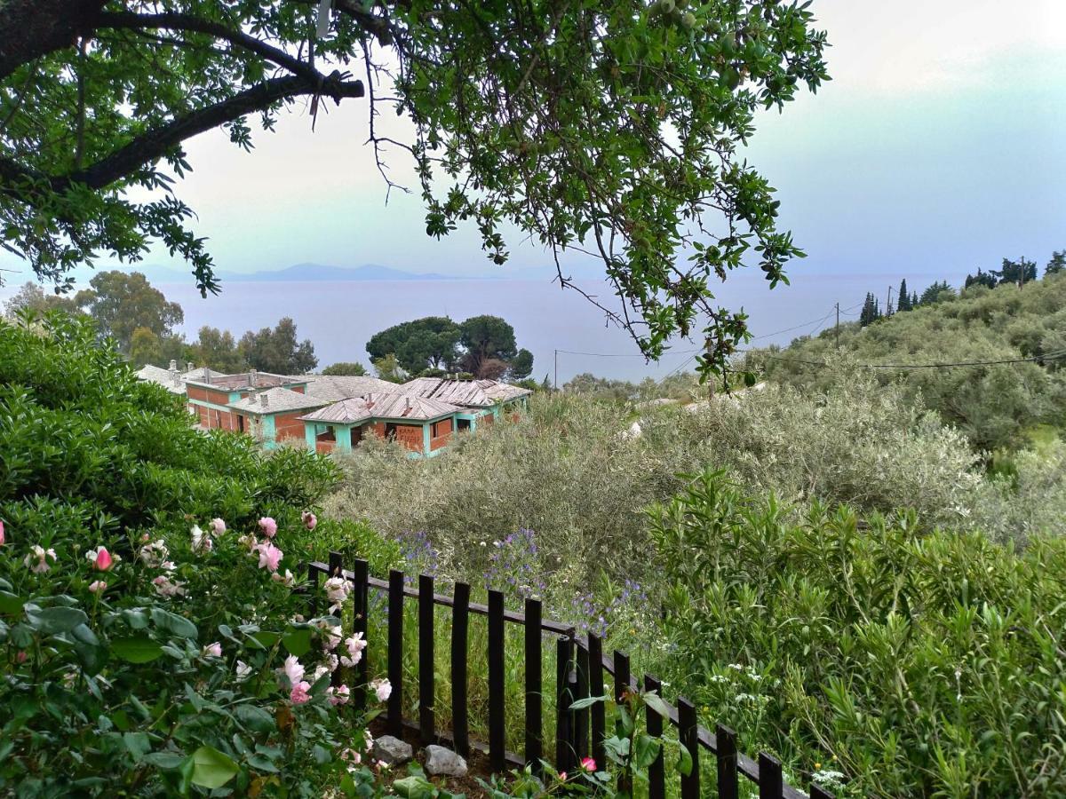 Villa Persefoni house Áfissos Esterno foto