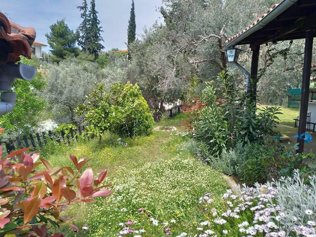 Villa Persefoni house Áfissos Esterno foto